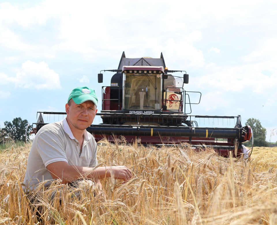 Ответственная  задача у тружеников КСУП «Круглянский-Агро» – сберечь  в  поле каждый колосок