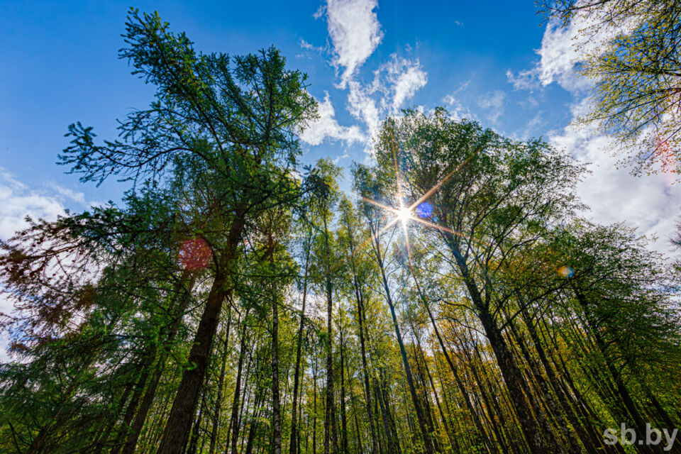 Народные приметы на 12 сентября 2025 года: что нельзя делать в день Александра Сытника