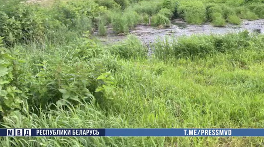 В Гомельском районе грибники обнаружили труп мужчины: подозреваемого задержали по горячим следам