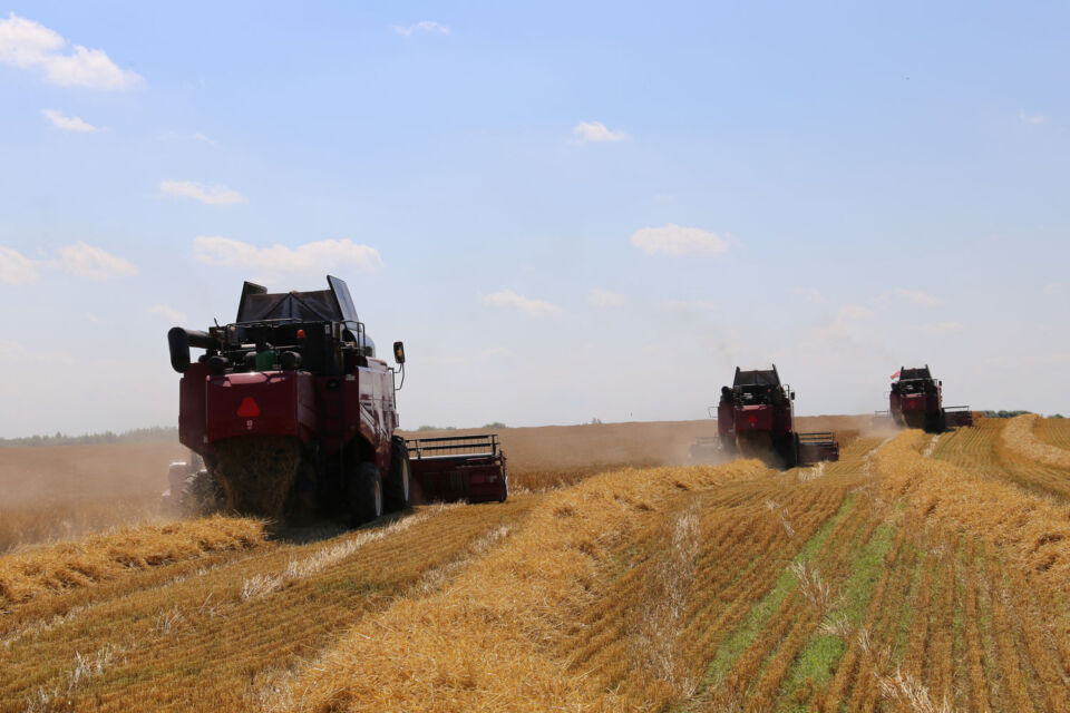 На  контроле  –  уборочная кампания 