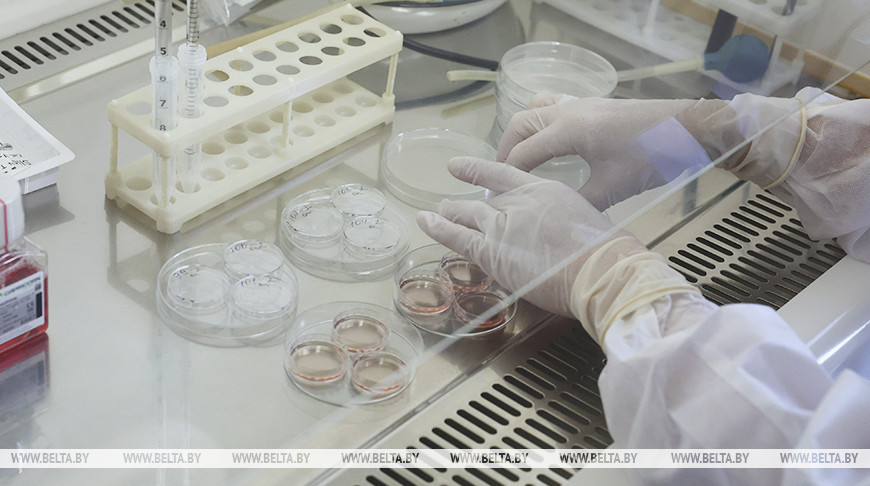 Путь нового лекарства от разработки до поступления в продажу занимает в Беларуси не менее трех лет