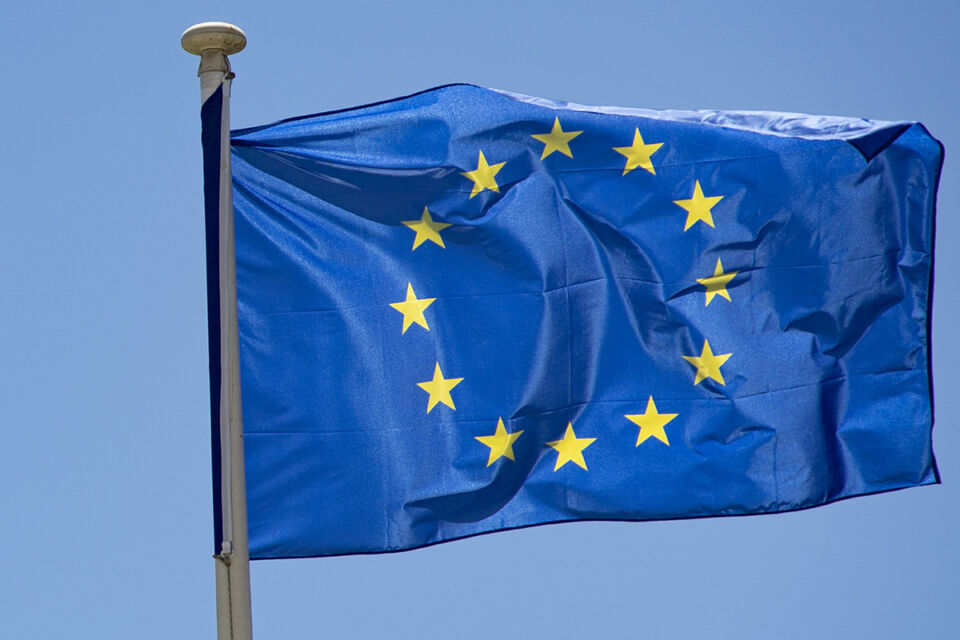 Свыше 40 % европейцев не знают, кто такие Рютте и Каллас — данные опроса