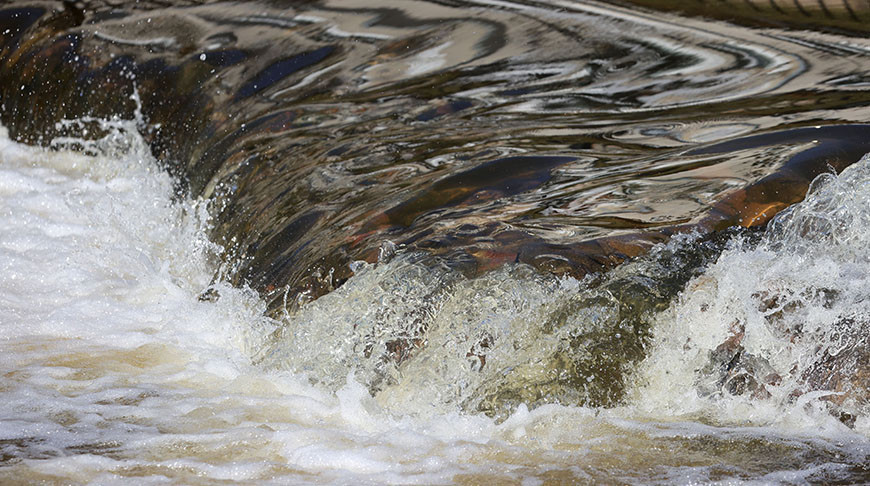 В Западной Двине обнаружено тело женщины, пропавшей в 2023 году