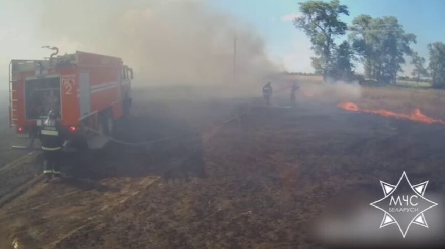 В Брагинском районе работники МЧС спасли более 90 га зерновых культур