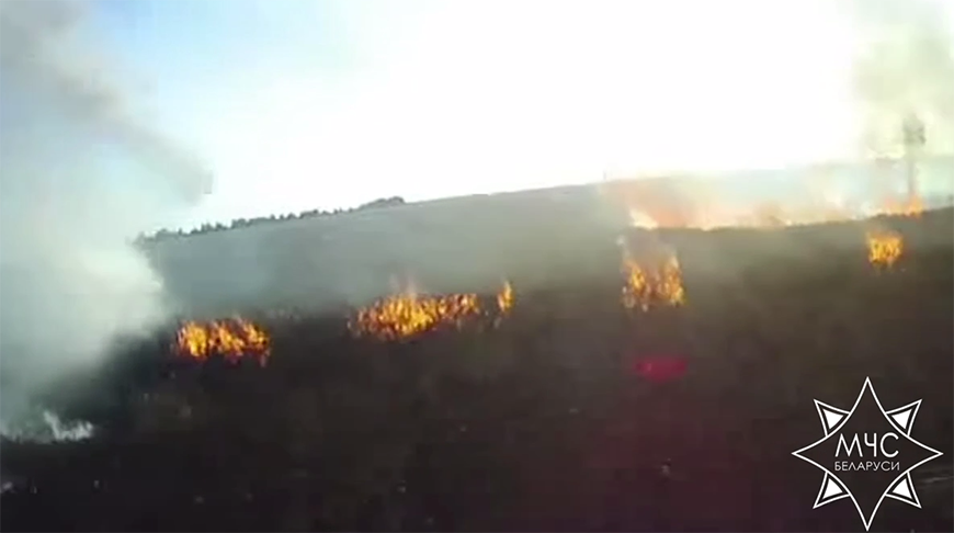 В Житковичском районе спасли при пожаре 45 га озимой пшеницы на корню