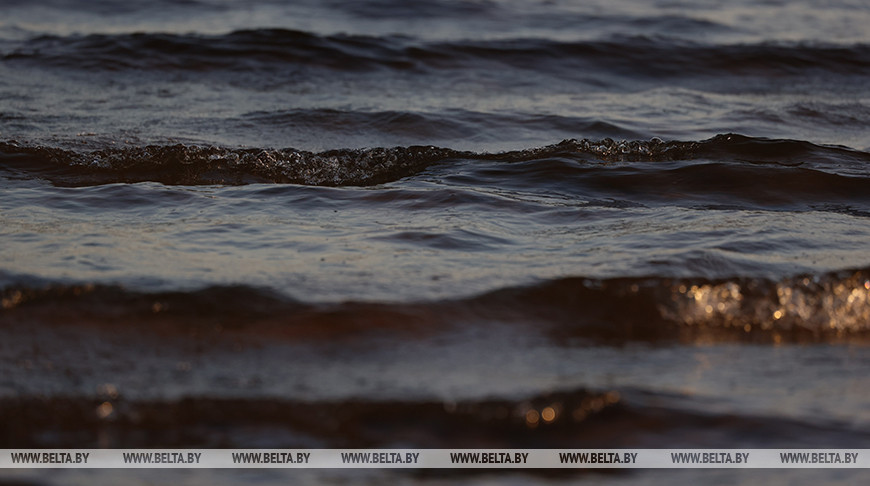 В США прогулочная лодка столкнулась с китом, животное погибло