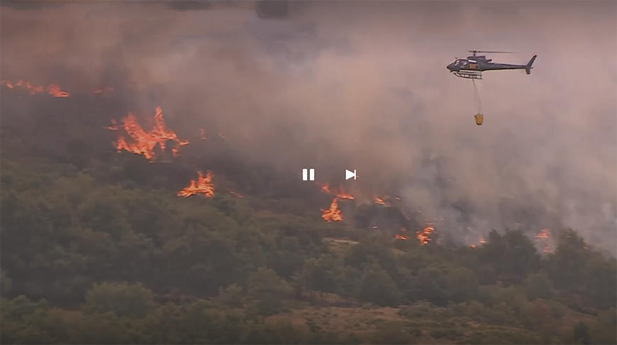 В Испании пожары уничтожили около 50 тыс. га леса 