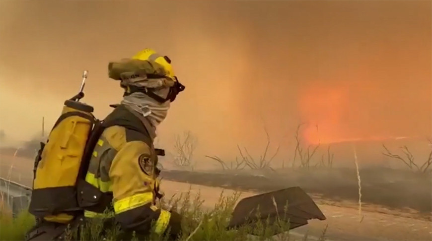 Пожары в Испании нанесли ущерб сельскому хозяйству минимум на 600 млн евро