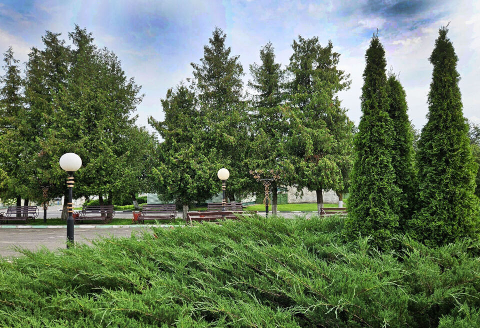 Комфортную, но с дождями погоду обещают синоптики на 4 августа