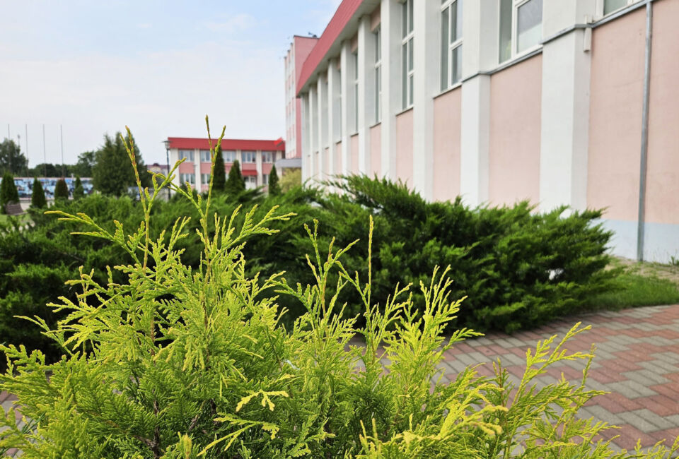 До +25°С и без осадков ожидается сегодня в Беларуси