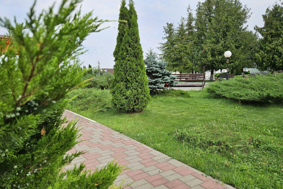 Сухая и теплая погода ожидается сегодня в Беларуси