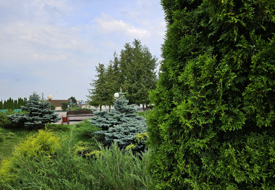 До +24°С прогнозируется сегодня в Беларуси