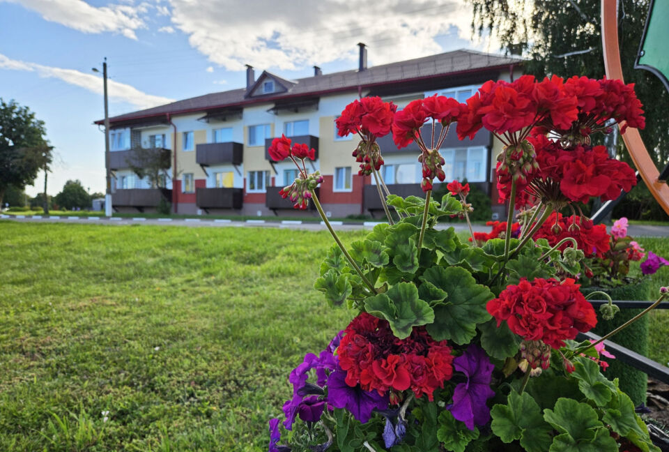 Жаркая и без осадков погода ожидается сегодня в Беларуси