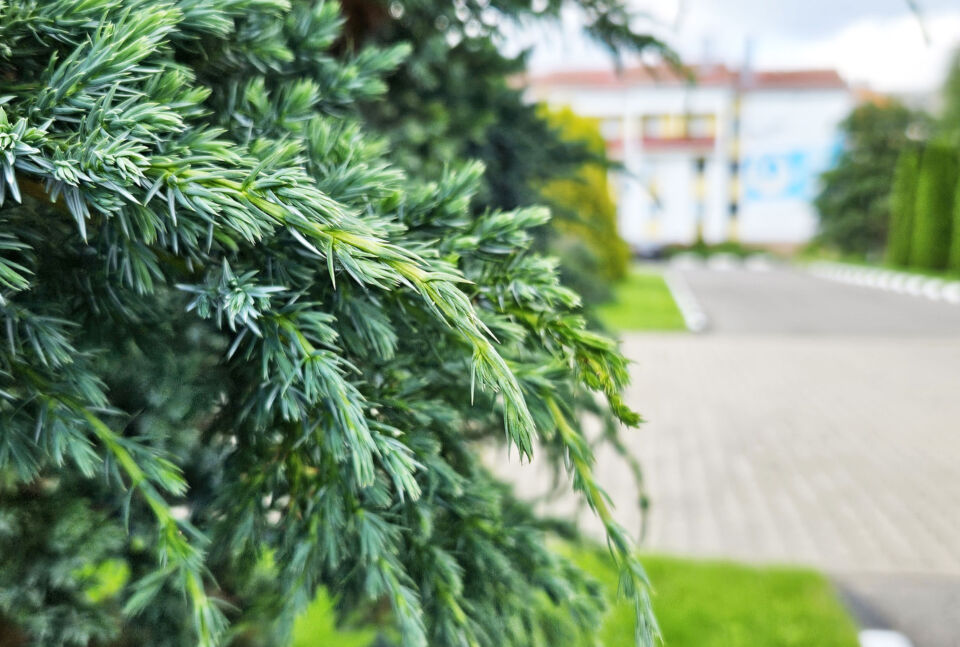 Тепло и малооблачно будет сегодня в Беларуси
