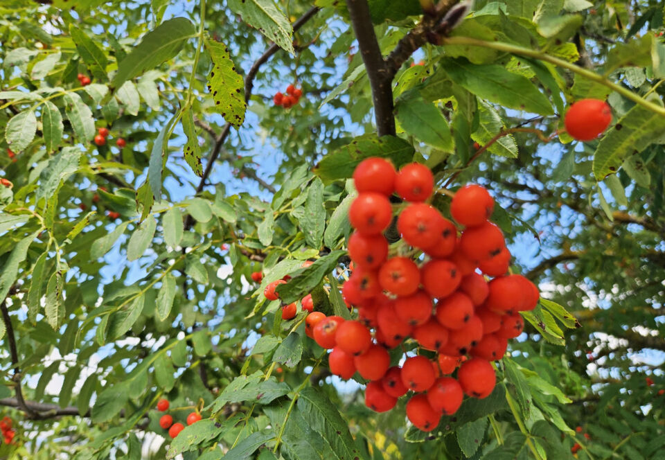 Народные приметы на 22 августа 2025 года: что нельзя делать в день Матфея Змеесоса