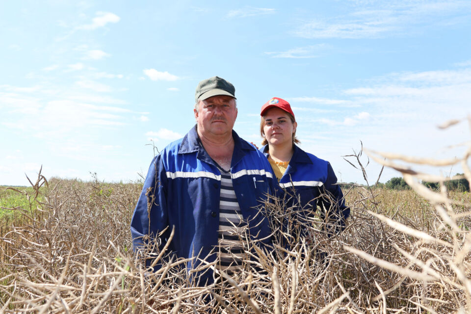 «Чёрное золото» течёт в закрома
