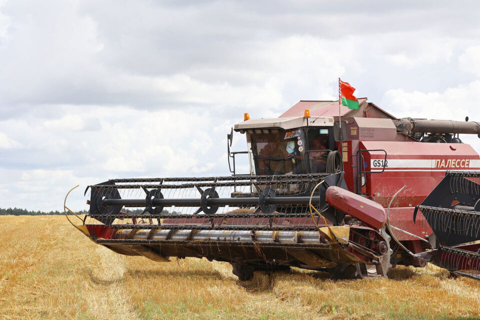 Белорусские аграрии намолотили 6 млн тонн зерна