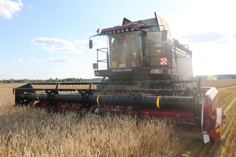 В Беларуси намолотили более 8,3 млн тонн зерна