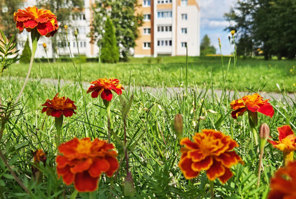 По-летнему теплая погода будет сегодня в Беларуси