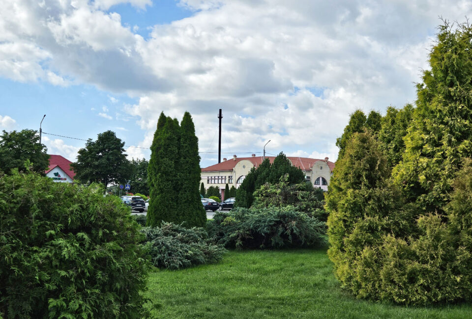 До +25°С ожидается сегодня в Беларуси