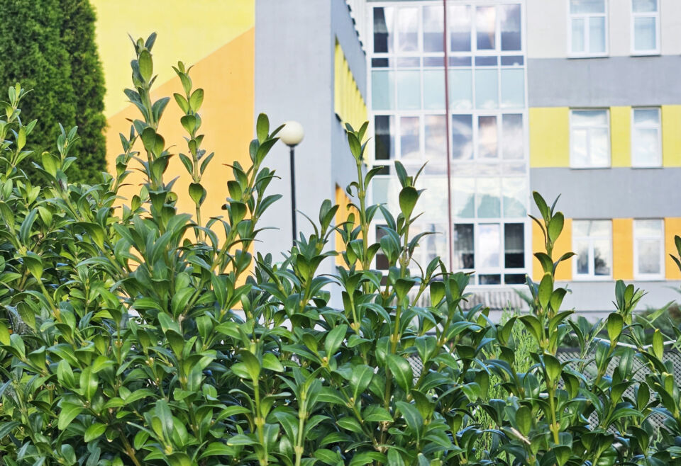 По юго-востоку дожди, местами грозы. Какая погода будет сегодня в Беларуси 