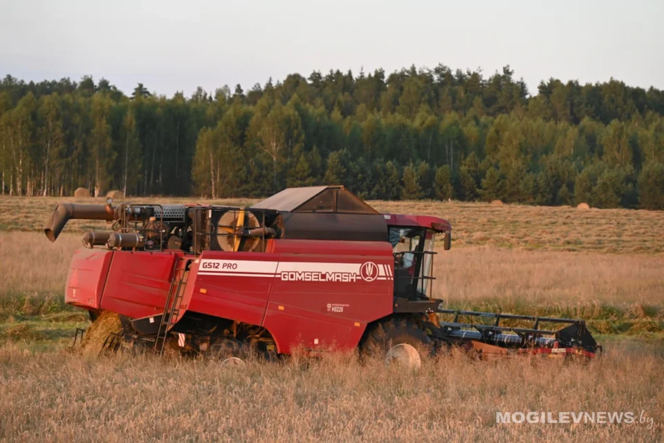 В Могилевской области убрана почти половина посевных площадей