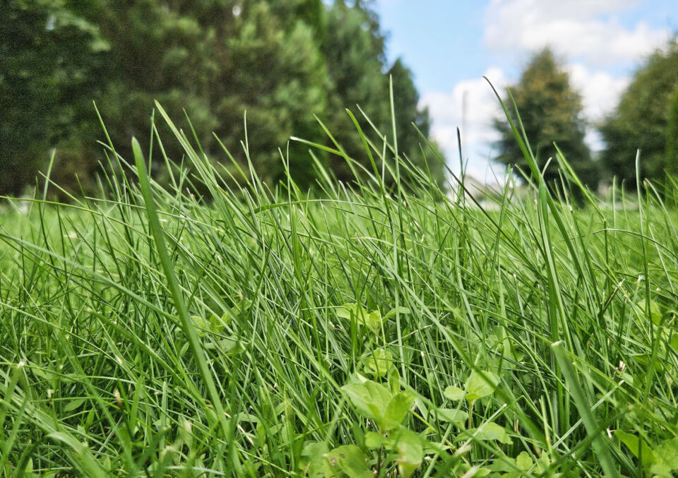 Народные приметы на 13 августа 2025 года: что нельзя делать в Евдокимово заговенье