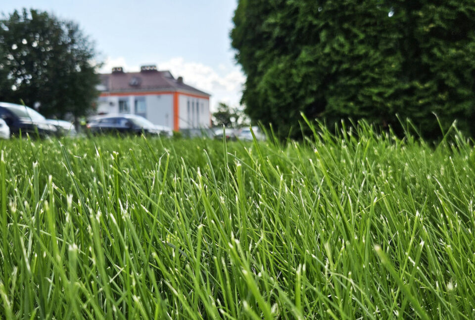 Дожди и до +27°С. Чего ждать от погоды сегодня