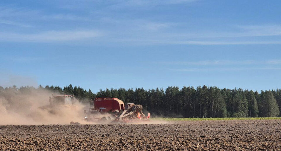 Аграрии Беларуси засеяли озимыми зерновыми почти половину запланированных площадей
