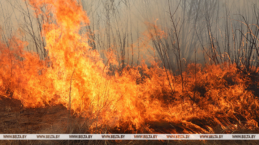 Два лесных пожара и один торфяной ликвидировали в Беларуси за минувшие сутки