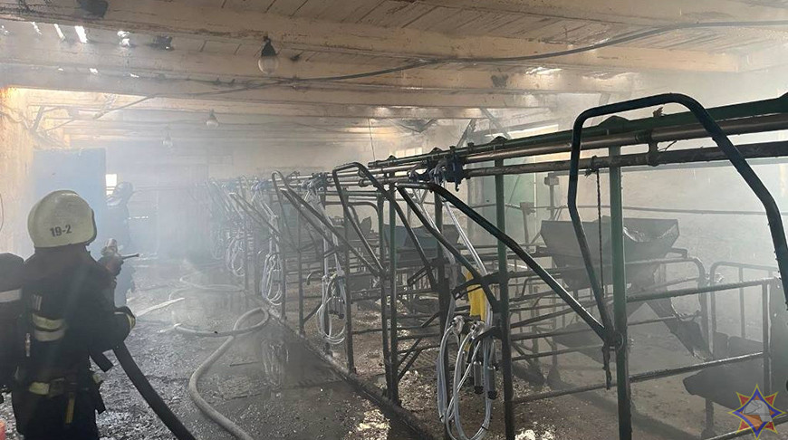 В Рогачевском районе горел коровник, спасено 180 животных