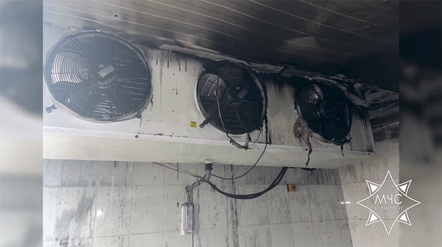 В Калинковичах спасатели ликвидировали пожар на мясокомбинате 