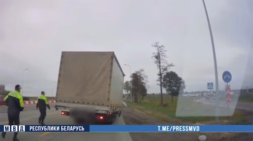В Могилевском районе водитель насмерть сбил велосипедиста и скрылся: его задержали по горячим следам