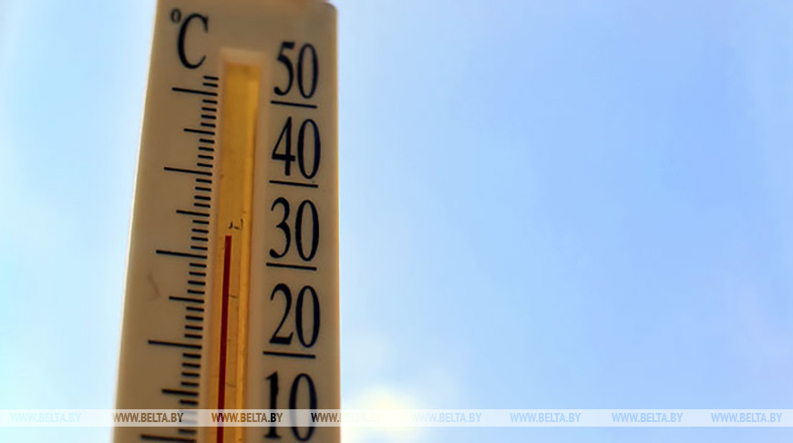 В Европе из-за жары этим летом погибли более 24 тыс. человек