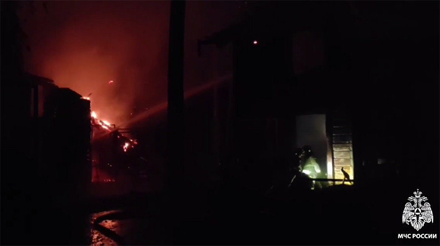 В Новосибирске горел зоопарк, погибло пять животных