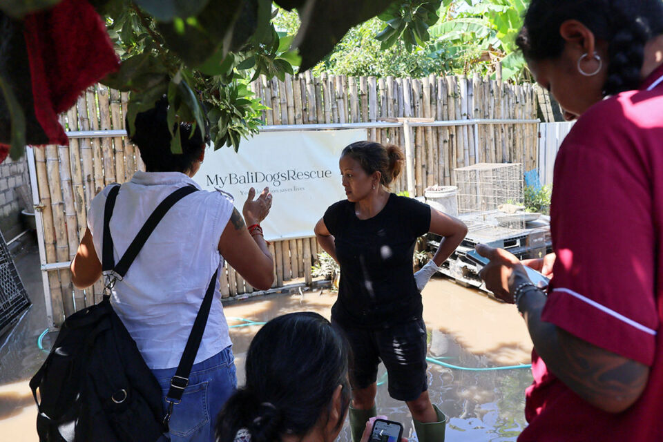 В результате наводнений на Бали погибли 16 человек, двое числятся пропавшими без вести