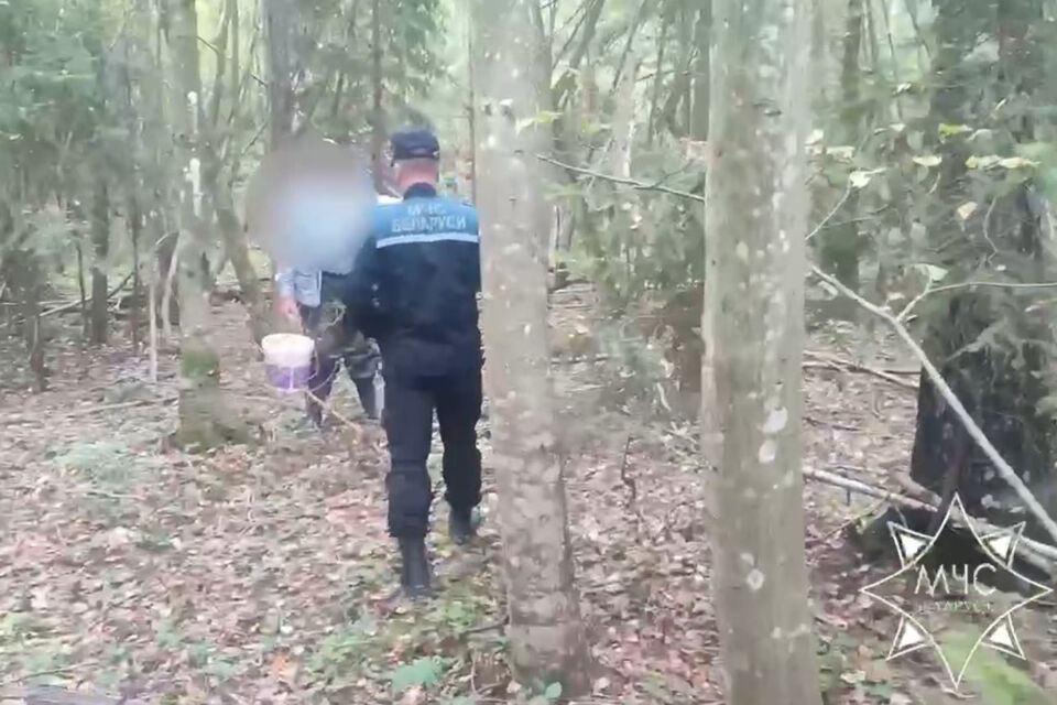 В Пуховичском районе спасатели помогли заблудившемуся в лесу грибнику