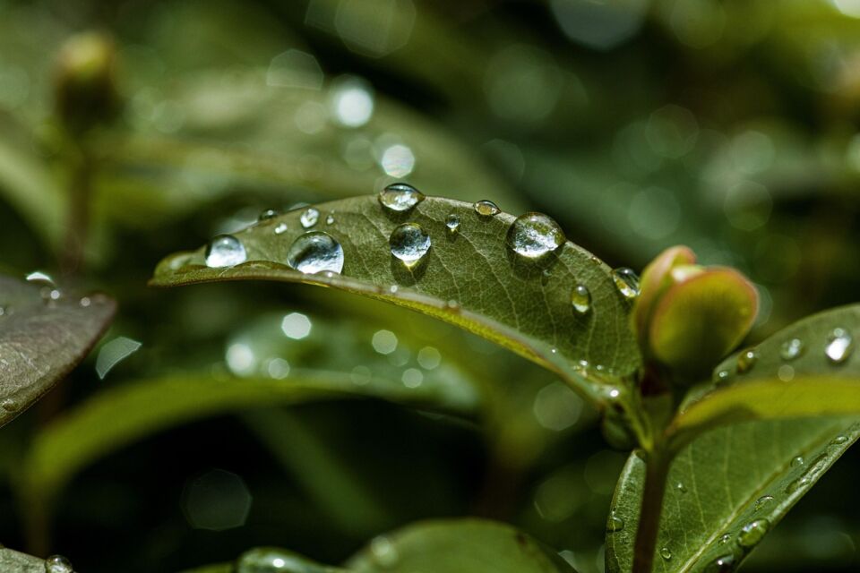 Облачная погода с дождями и грозами ожидается сегодня в Беларуси