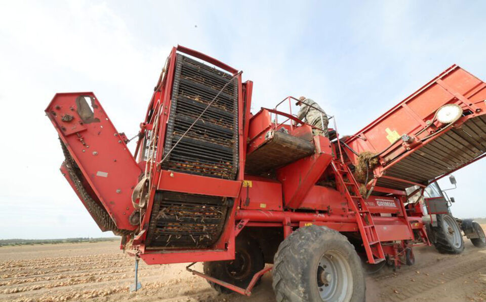 Уборка лука ведется в Могилевском районе