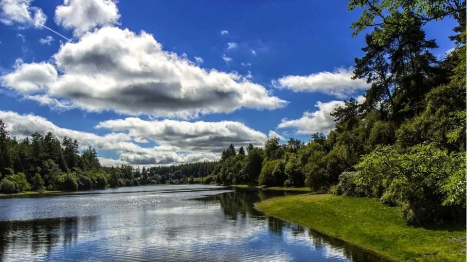 До +28°С ожидается сегодня в Беларуси