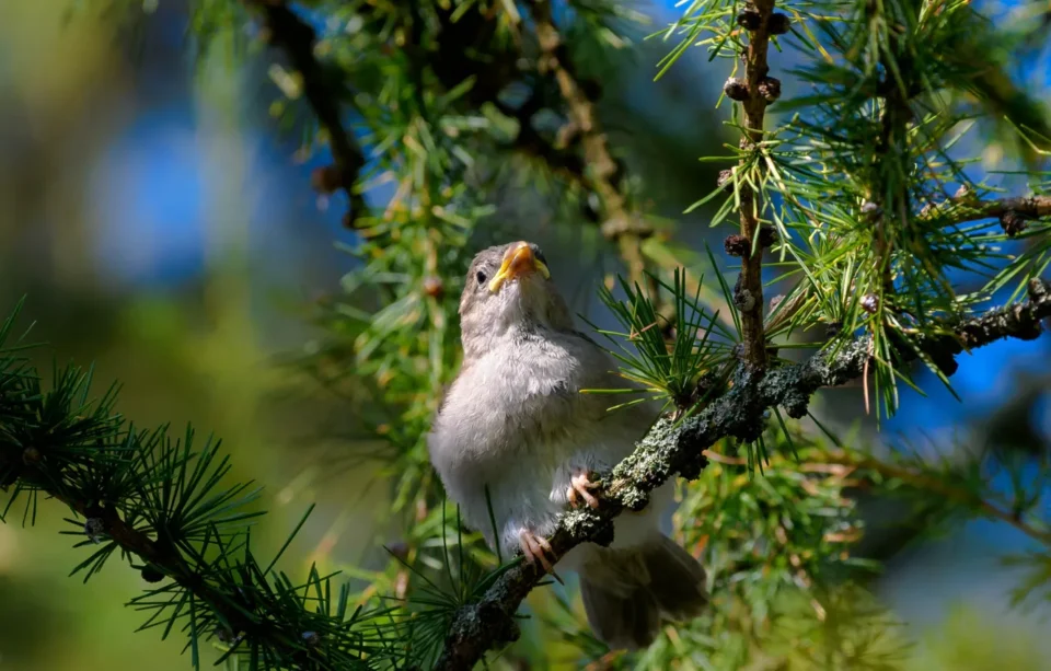 До +22°С ожидается 12 сентября в Беларуси