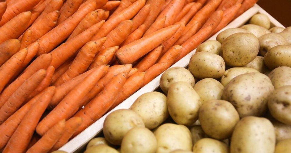 Аграрии Беларуси убрали свыше 40% выращенных в открытом грунте овощей