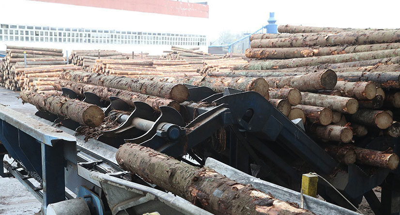 Минлесхоз актуализировал учет древесины и сделок с ней. Что изменилось?