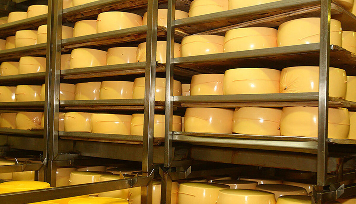 Белорусские товары составляют 94% российского импорта молочной продукции