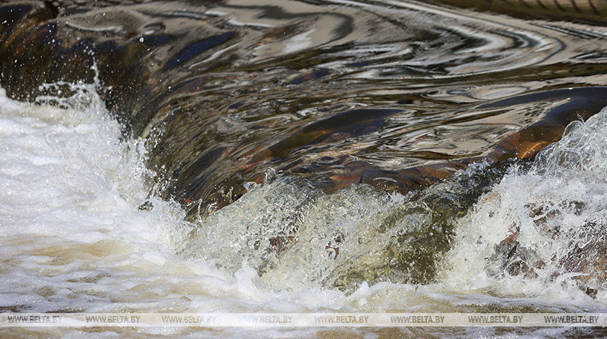 Мужчина утонул в реке в Молодечненском районе 