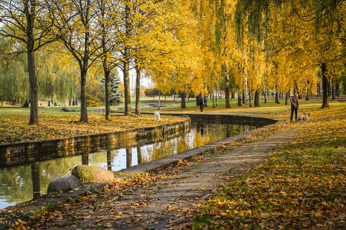 До +14°С ожидается сегодня в Беларуси