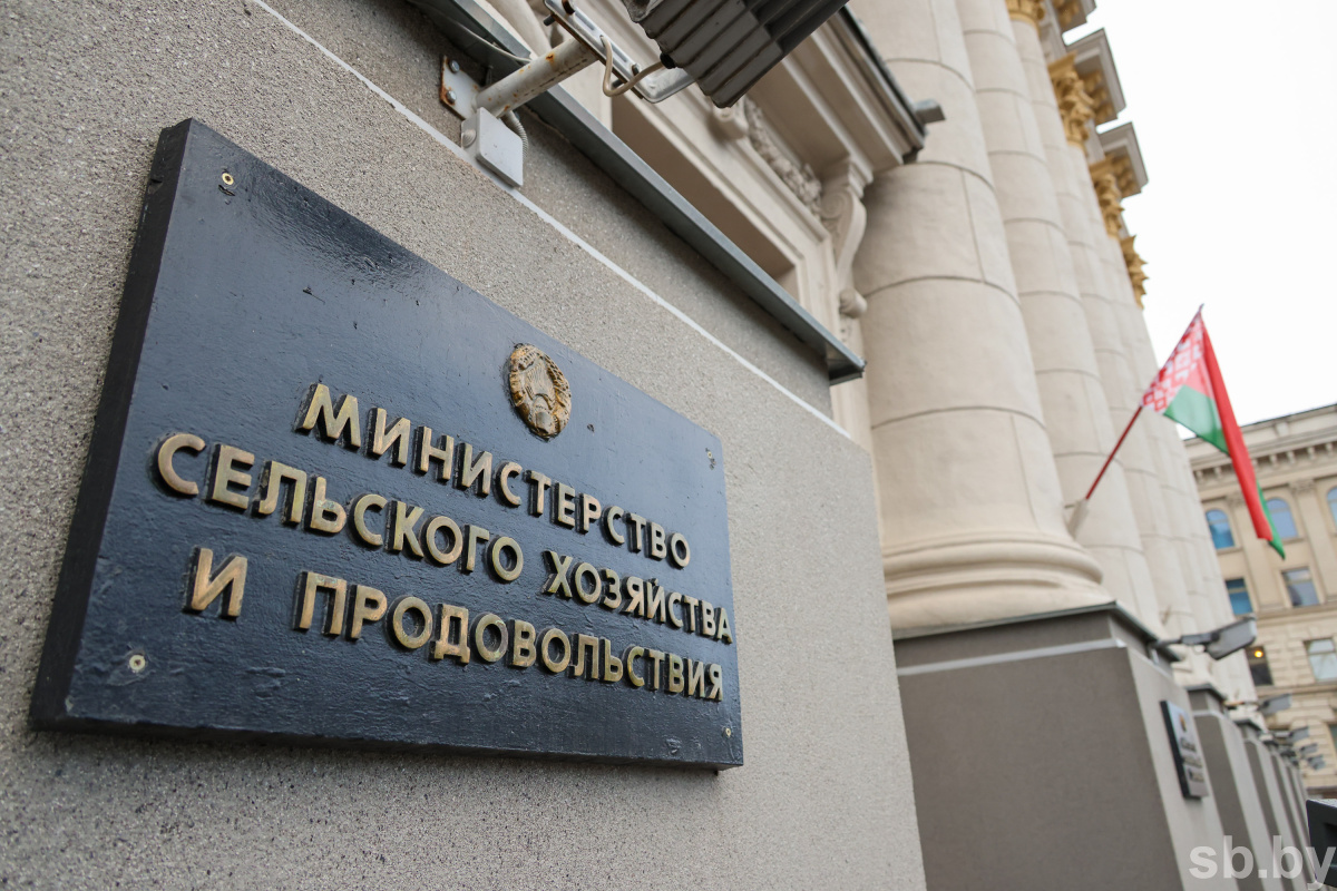 Персональная ответственность, модернизация. Какие меры принимают в Минсельхозпроде для снижения падежа скота