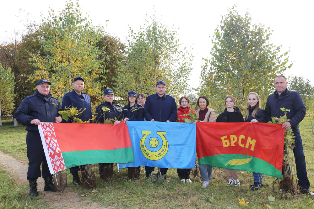 Более 80 саженцев молодых клёнов высадили в агрогородке Запрудье