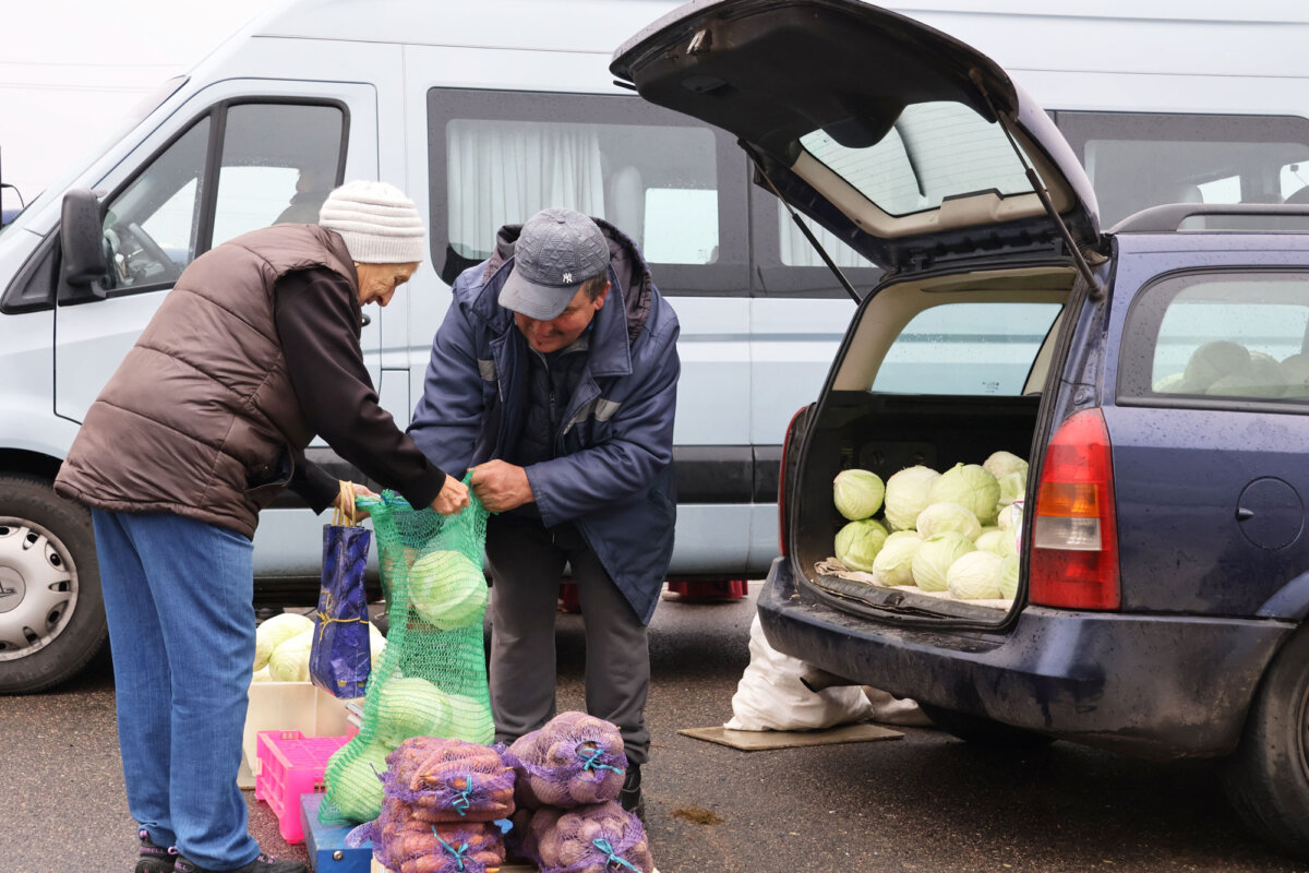 Осенняя сельскохозяйственная ярмарка пройдёт в Круглом в предстоящую субботу
