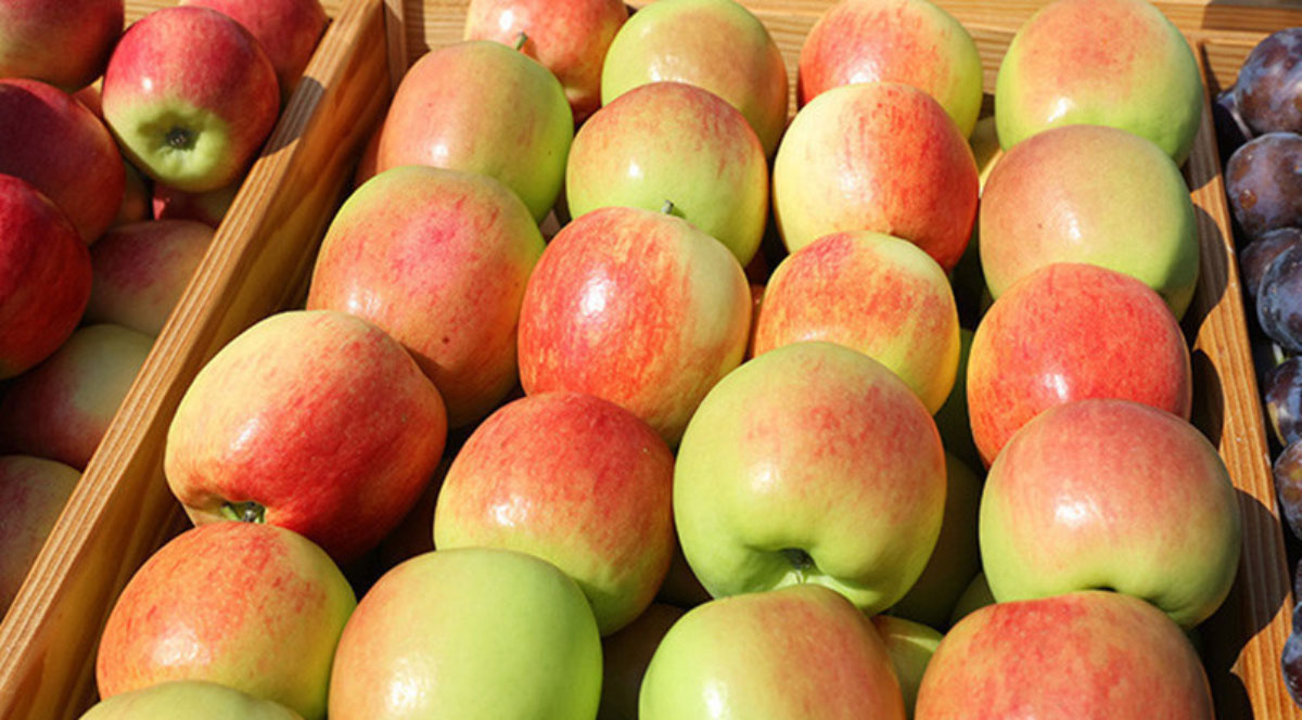 Объемы производства плодов и ягод к 2030 году планируется увеличить до 265 тыс. тонн